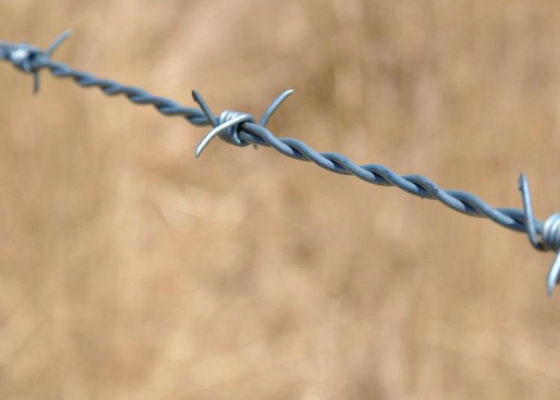 1,4 mm ila 2 mm Çift Bükümlü Dikenli Tel Galvanizli Yüzey