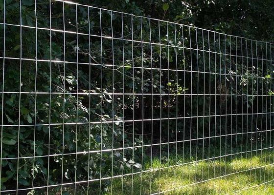 Galvanizli Kaynaklı Tel Değirmenli Çit 2 In X 4 In