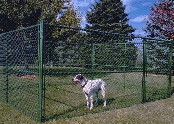 Zincir Bağlantılı Köpek Kulübesi Çıkarılabilir ve Çeşitli Yerlere Taşınabilir